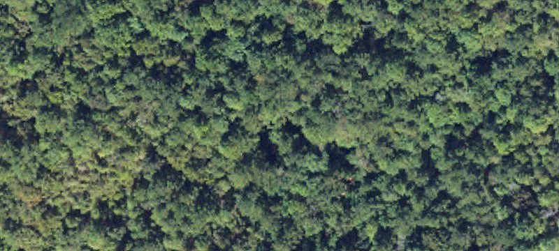 Lauderdale County Acreage Homesite
