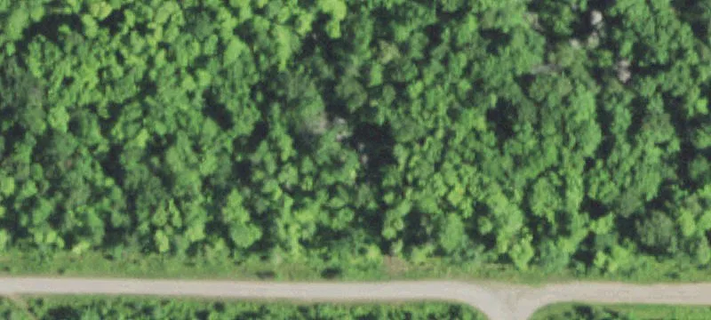 Wooded Land with River Frontage