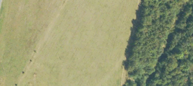 5-Acre Wooded Homesite in Keysville