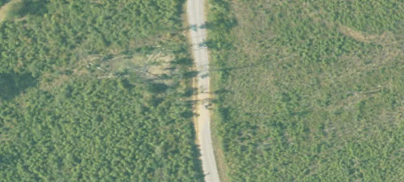 Amite County Hunting Land