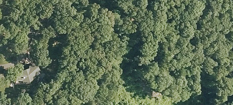 Picturesque Wooded Parcel in Newtown