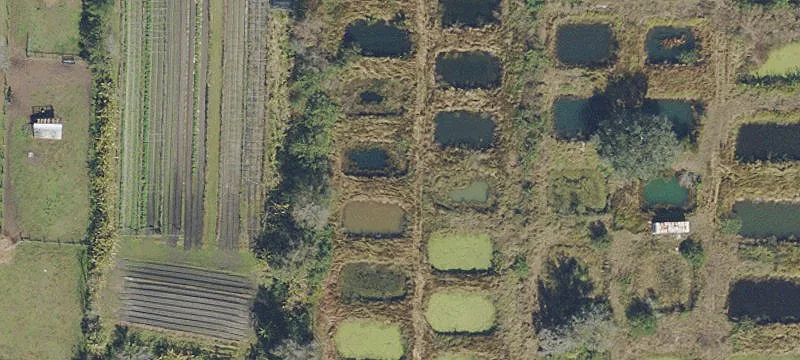 Versatile Land with Development Potential
