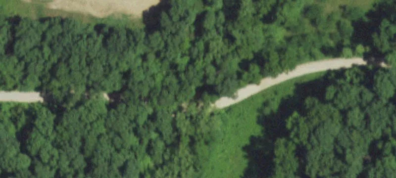 40 Acres in Marion County