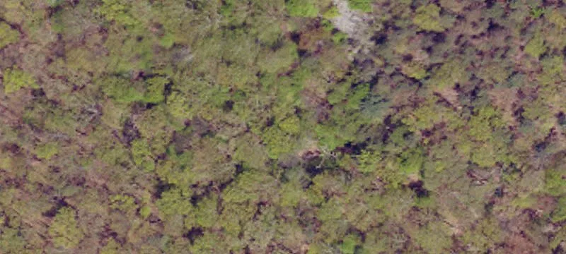Wooded Land Near Mt. Holly