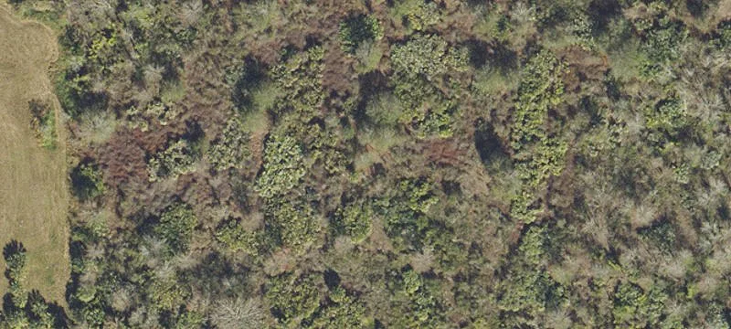 Okeechobee Vacant Land Opportunity