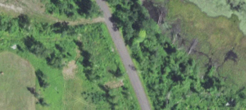 Secluded Recreational Land in Polk County