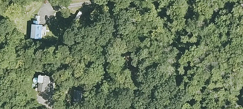 128+ Acre Wooded Land Parcel