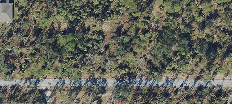 Port Charlotte Vacant Land Opportunity