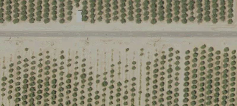 Productive Agricultural Land with TID Water