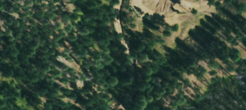 51.98 Acres Mountain Retreat Land