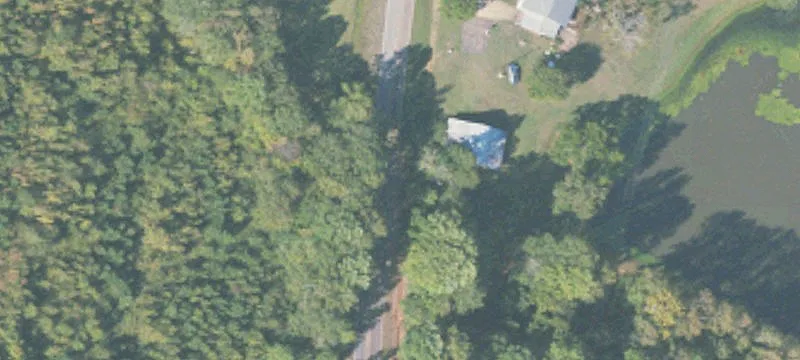 Chambers County Hunting & Timber Tract