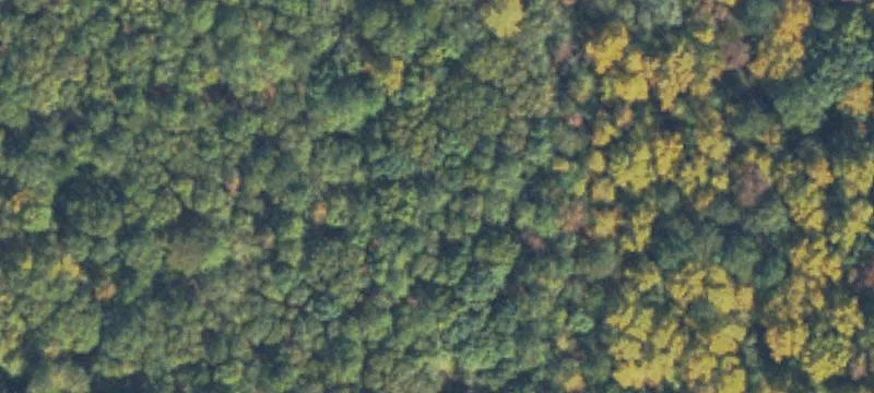 6.7 Acres in Gwinnett County