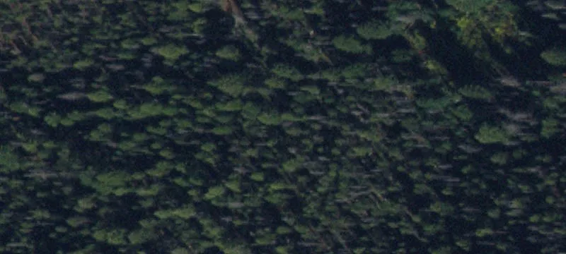 Wooded Lot with Mountain Views