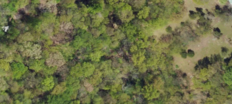 Bucks County Wooded Lot