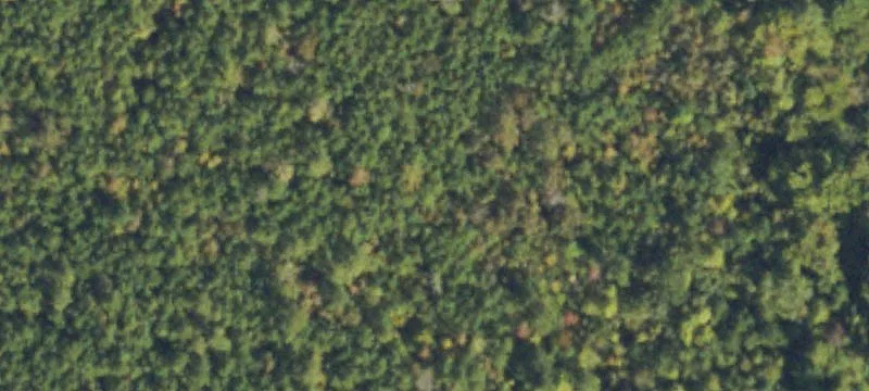 Farmland Available for Long-Term Lease