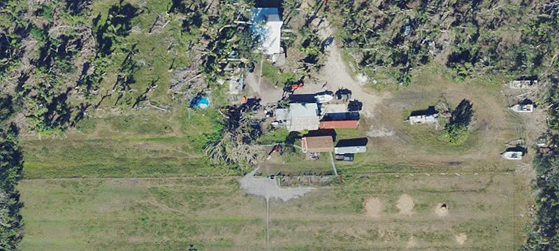 Historic Pineland Estate on Acreage