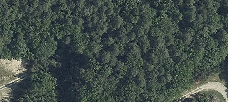 Grasonville Land for Sale