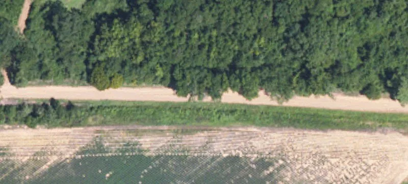 Affordable Hunting Land in Duck Hill