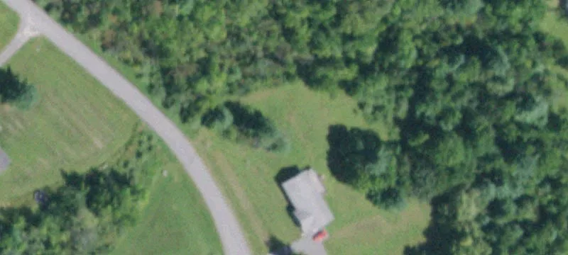 Wooded Land in East Durham