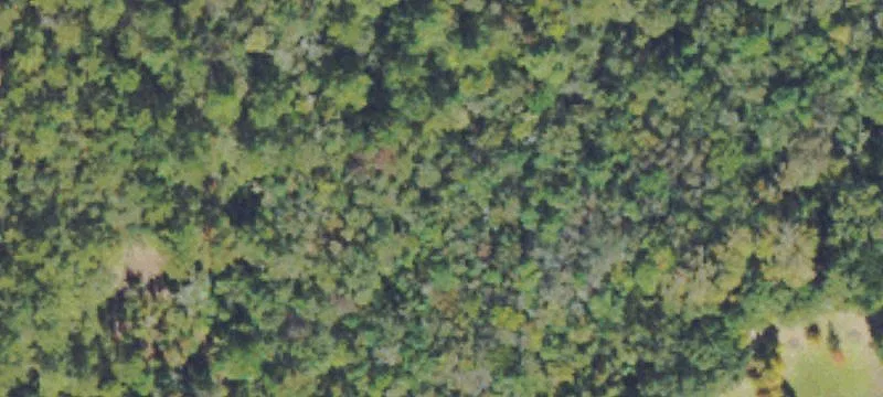 49 Acres Near Guyton, GA
