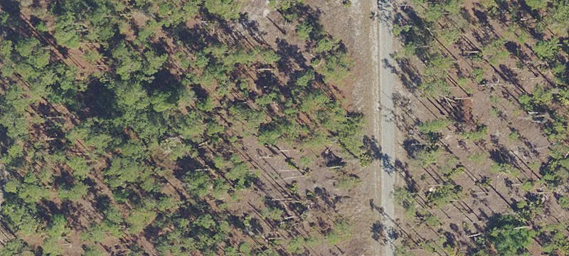 Residential Building Lot in Lehigh