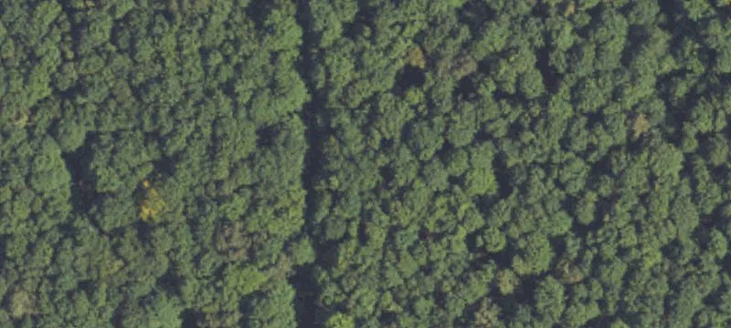 Wooded 10-Acre Parcel in Michigan