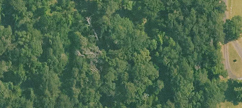 11.3 Acres of Secluded Land