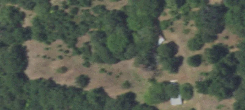 East Texas Ranch with Equestrian Facilities
