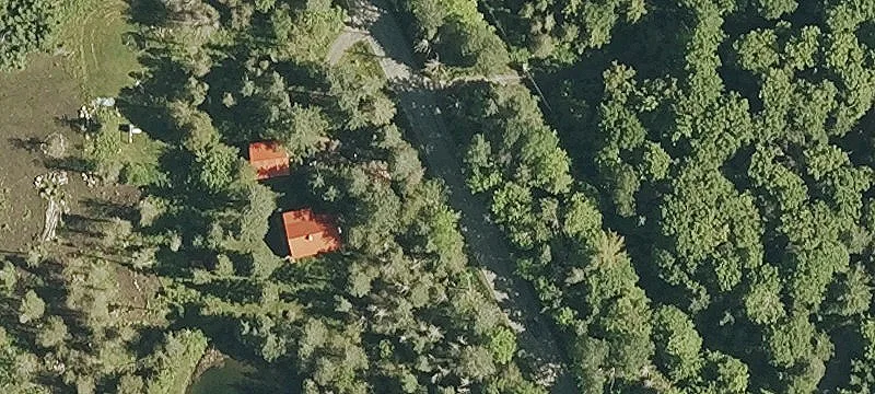 Greensboro Land with Mature Cedars