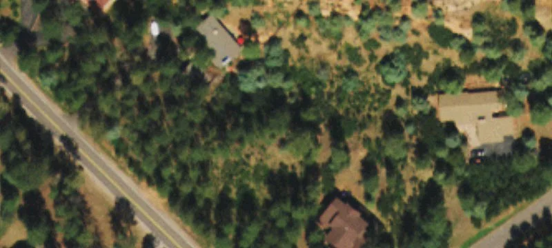 Lush Lot in Perry Park