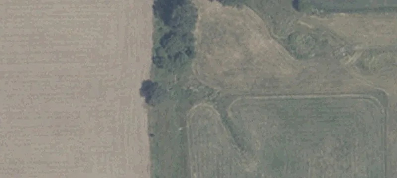 51.63 Acre Cattle Farm Operation