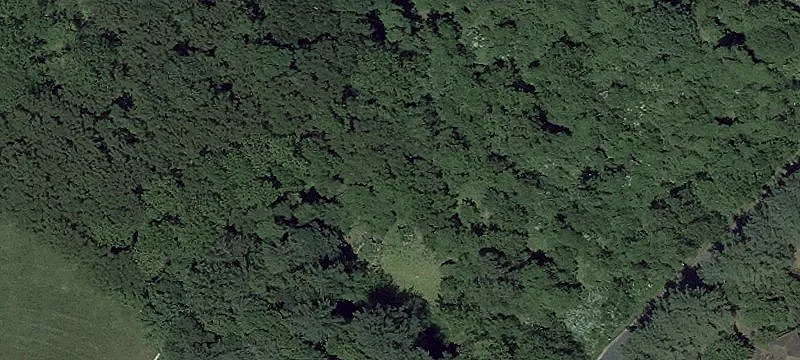 Wooded Lot in Farmington Community