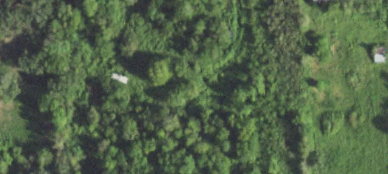 Unrestricted Land in Wild Peach
