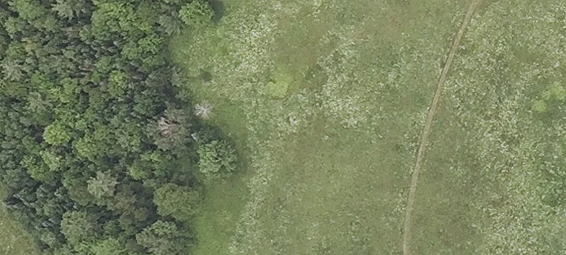 Land Parcel in Bath, NH