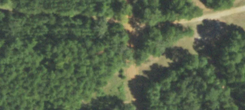 Nacogdoches Wooded Tract For Sale