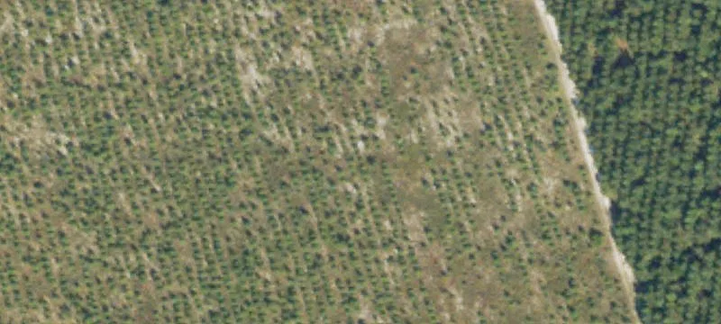 Hephzibah Land for Sale