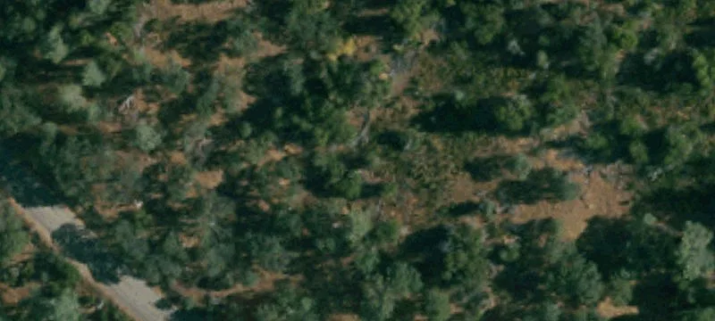 38 Acre Hunting/Getaway Land