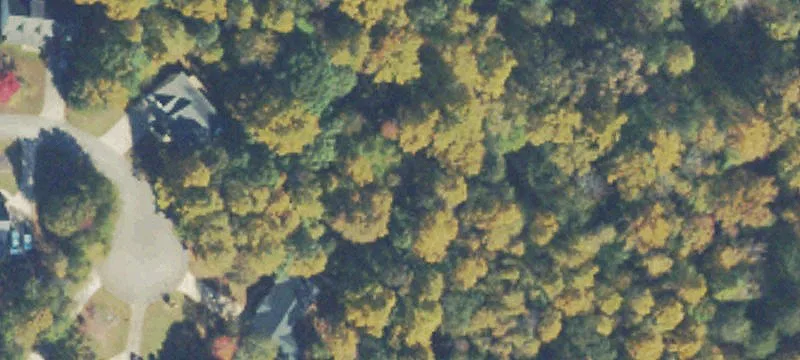 Gainesville Land Opportunity