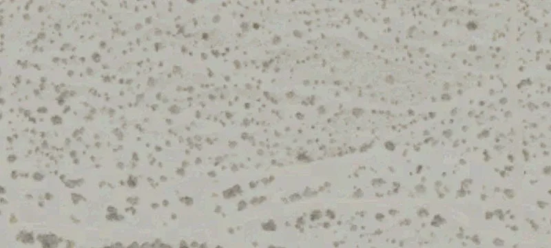 Land in Cahuilla Hills