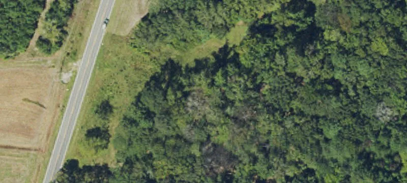 Cleared Land Near the Beach