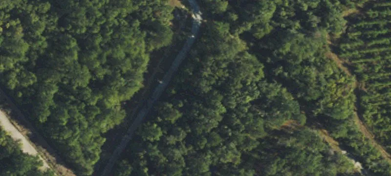 Hampstead Wooded Land Opportunity
