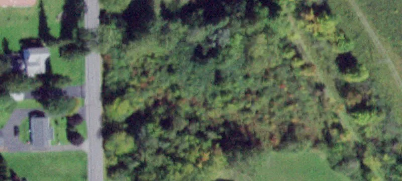 Residential Lot Backing Nature Trail