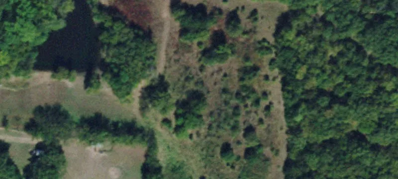 12 Acre Land with Pasture