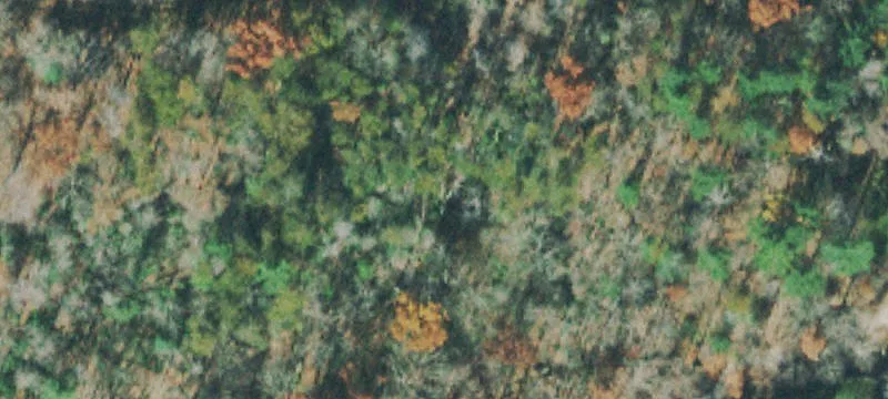 Lakefront and Golf Course Land