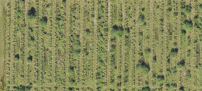 Subdividable Land Parcel For Sale