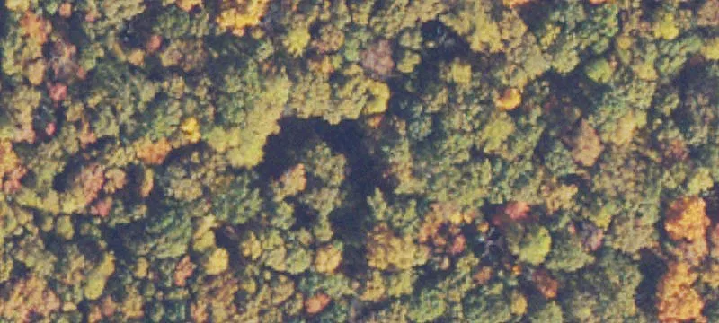 Serene 5-Acre Residential Lot