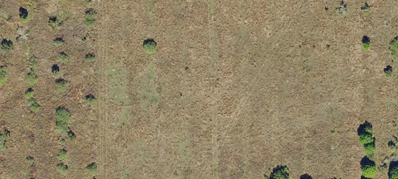 Caloosahatchee Riverfront Land Opportunity