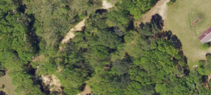 Wooded Land Near North Edisto