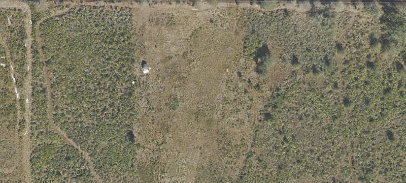 Okeechobee Acreage with Development Potential