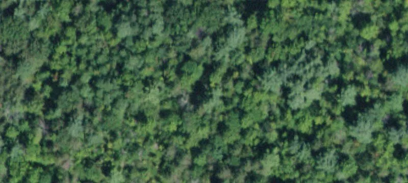 59 Acre Durham Land Parcel